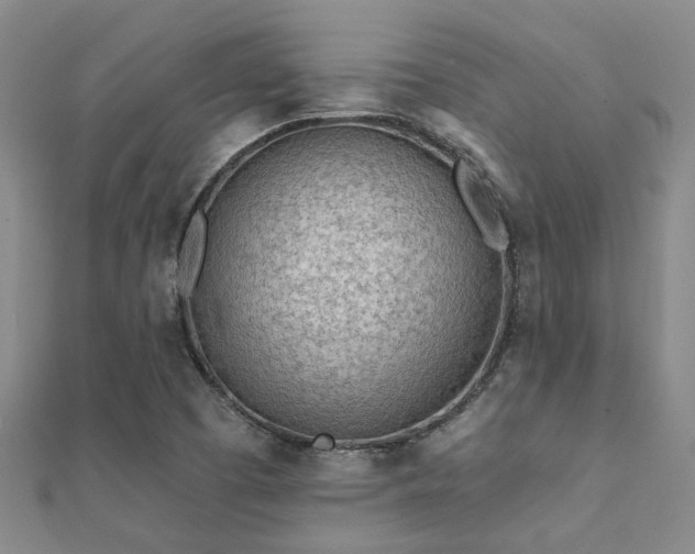 X0000112061457200908111401