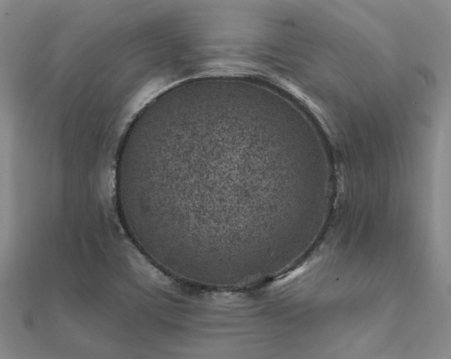 X0000112061459200908111401