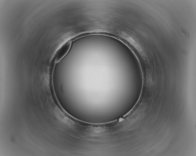 X0000112061460200908111401