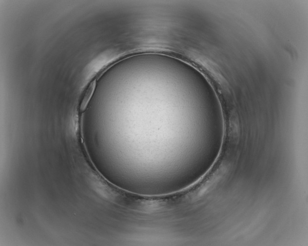 X0000112061461200908111401