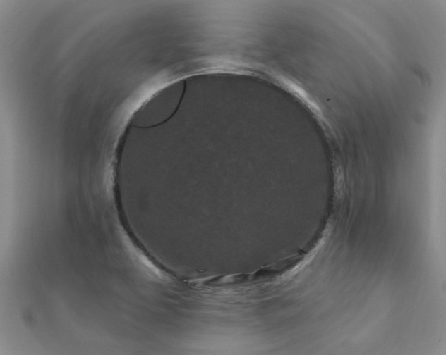 X0000112061463200908111401