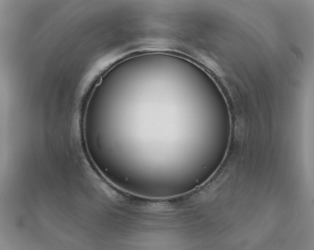 X0000112061464200908111401