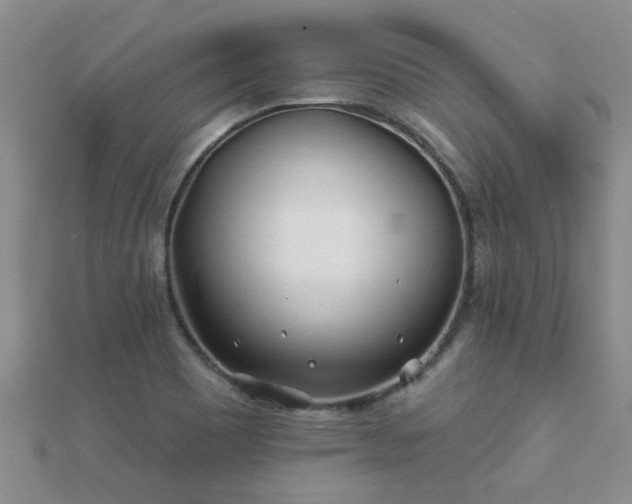 X0000112061465200908111401