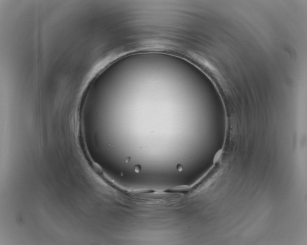 X0000112061467200908111401