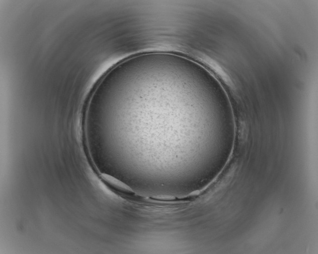 X0000112061468200908111401