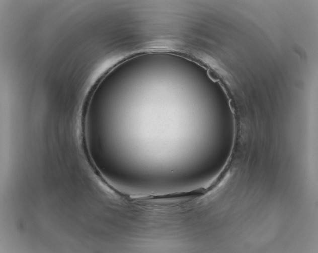 X0000112061469200908111401