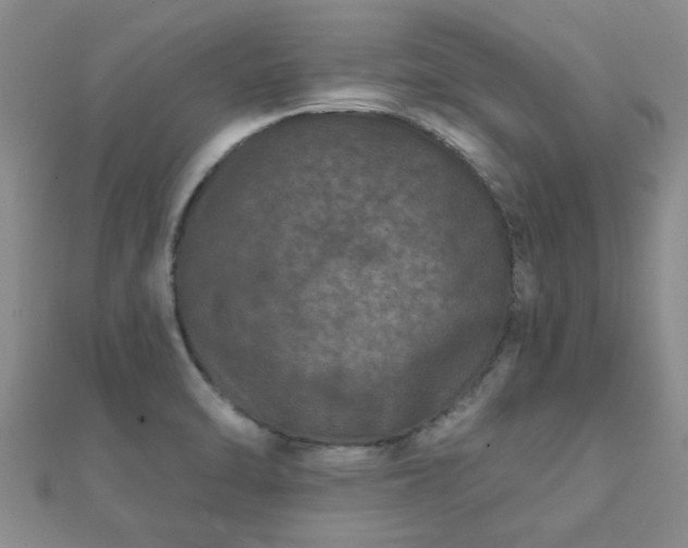 X0000112061470200908111401