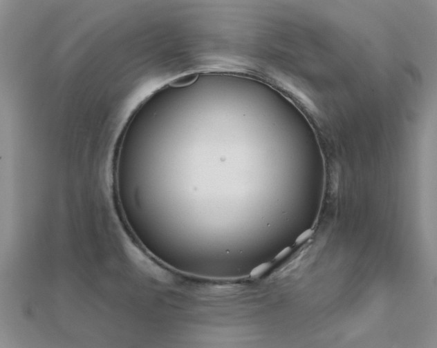 X0000112061471200908111401
