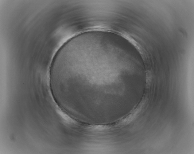 X0000112061474200908111401