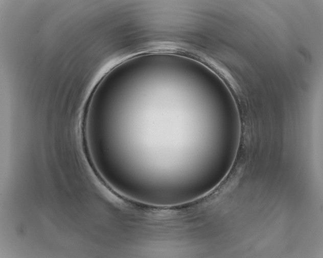 X0000112061475200908111401