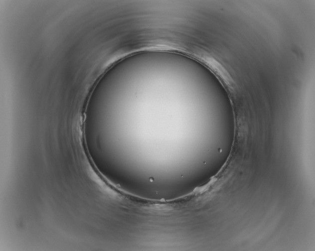 X0000112061476200908111401