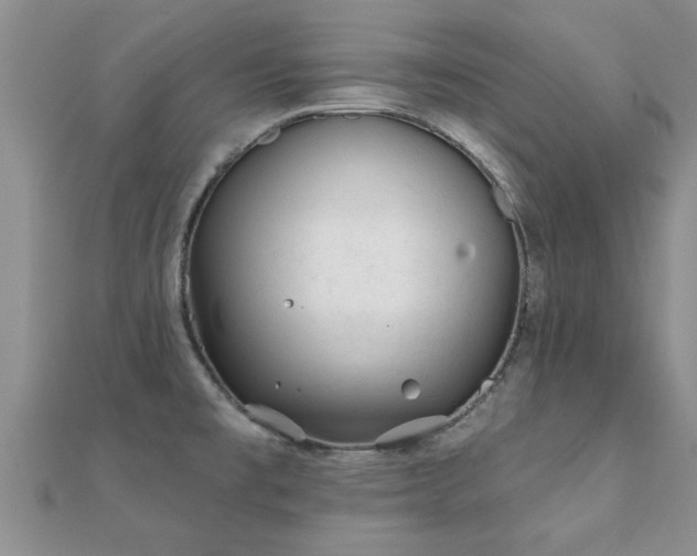 X0000112061477200908111401