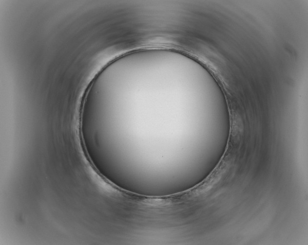X0000112061478200908111401