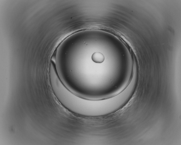 X0000112061481200908111401