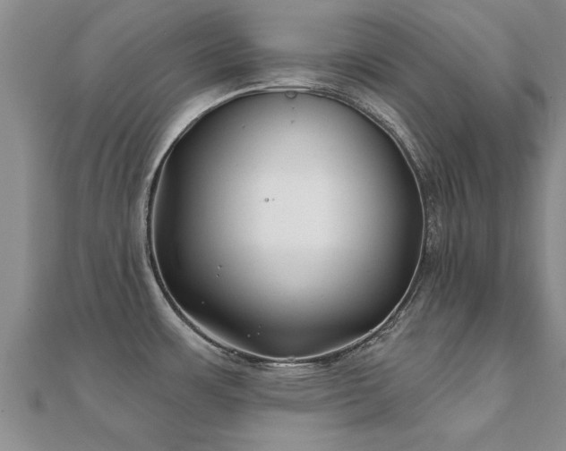 X0000112061483200908111401