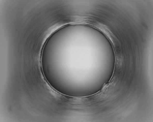 X0000112061485200908111401
