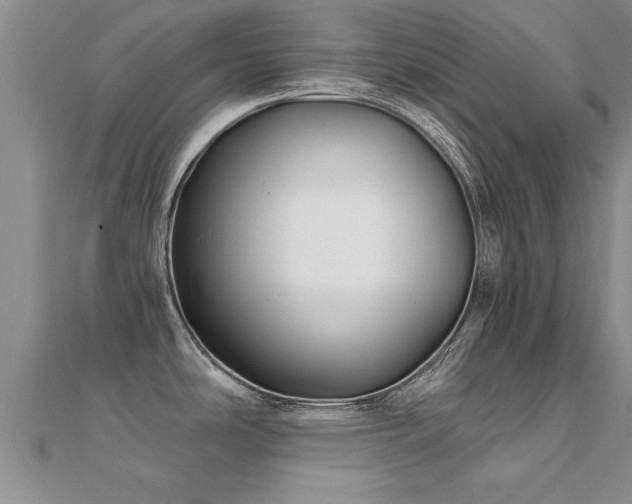 X0000112061486200908111401