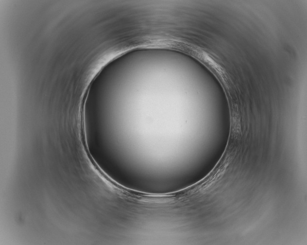 X0000112061487200908111401