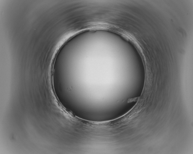 X0000112061488200908111401