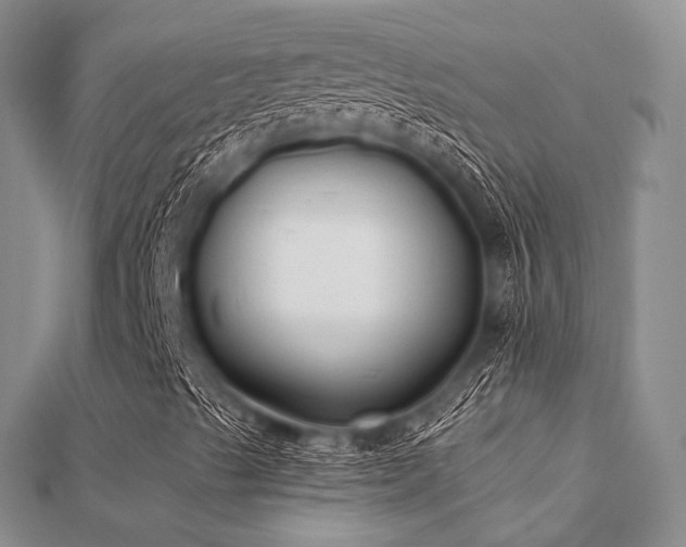 X0000112061489200908111400