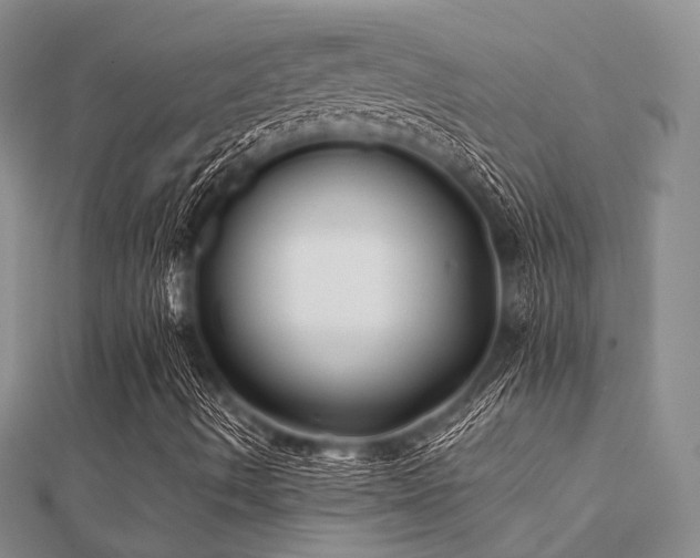 X0000112061490200908111400