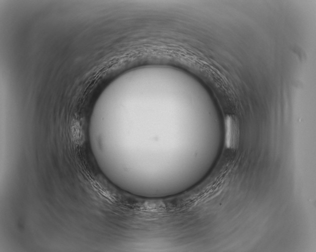 X0000112061491200908111400