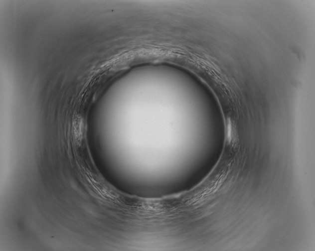 X0000112061492200908111400