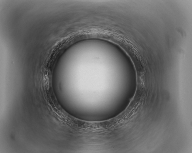 X0000112061493200908111400