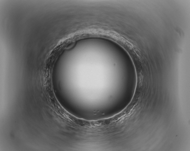 X0000112061494200908111400