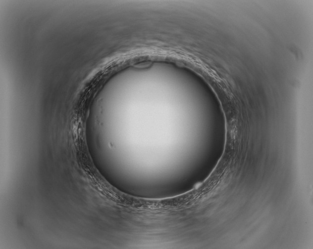 X0000112061495200908111400