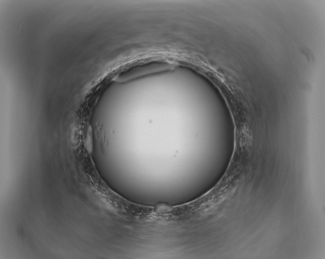 X0000112061496200908111400