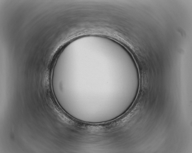 X0000112061498200908111400