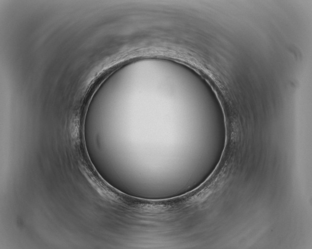 X0000112061499200908111400