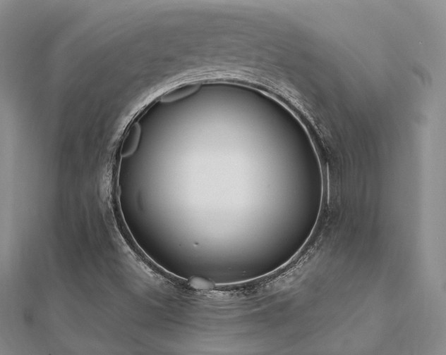 X0000112061500200908111400