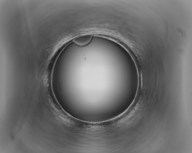 X0000112061501200908111400