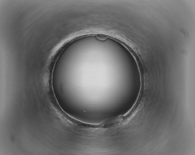 X0000112061502200908111400