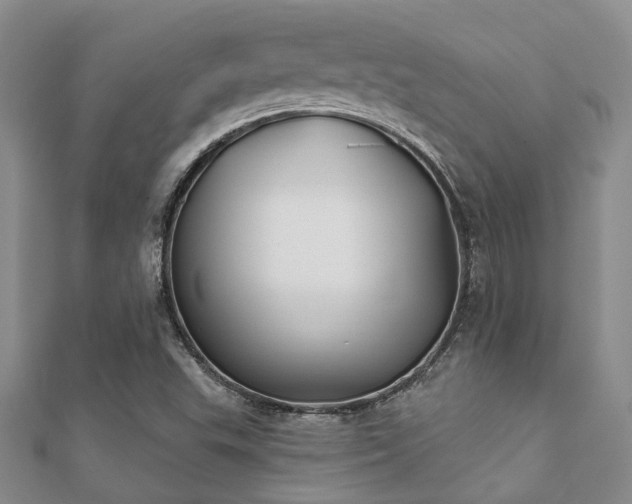 X0000112061503200908111400