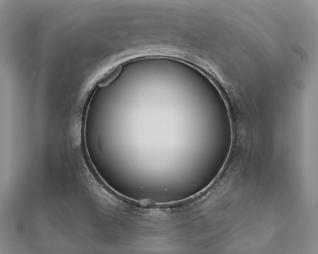 X0000112061504200908111400