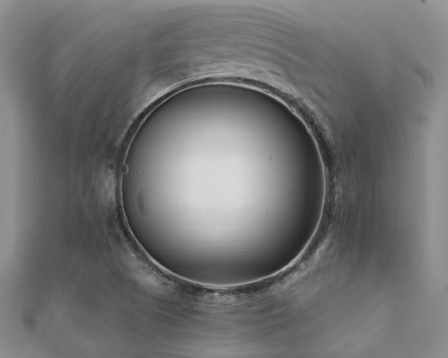 X0000112061505200908111400