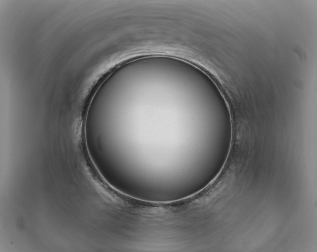 X0000112061507200908111401