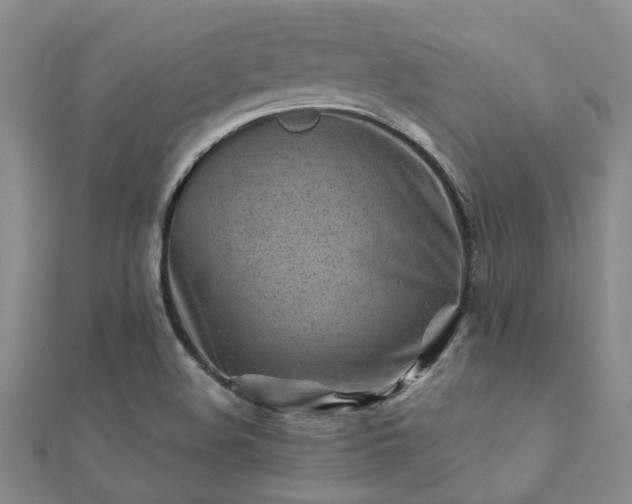 X0000112061508200908111401
