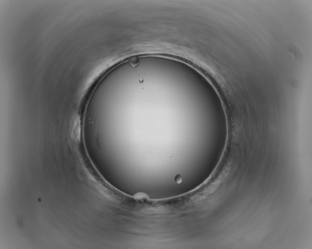 X0000112061509200908111401