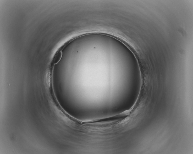 X0000112061510200908111401