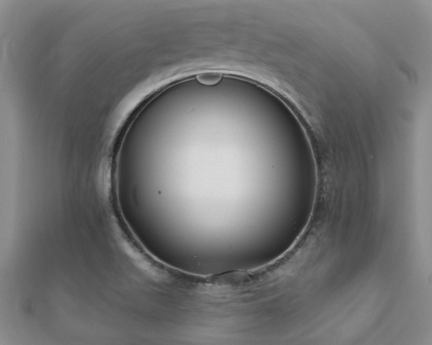 X0000112061511200908111401