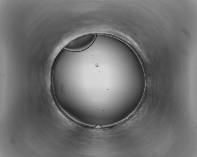 X0000112061512200908111401