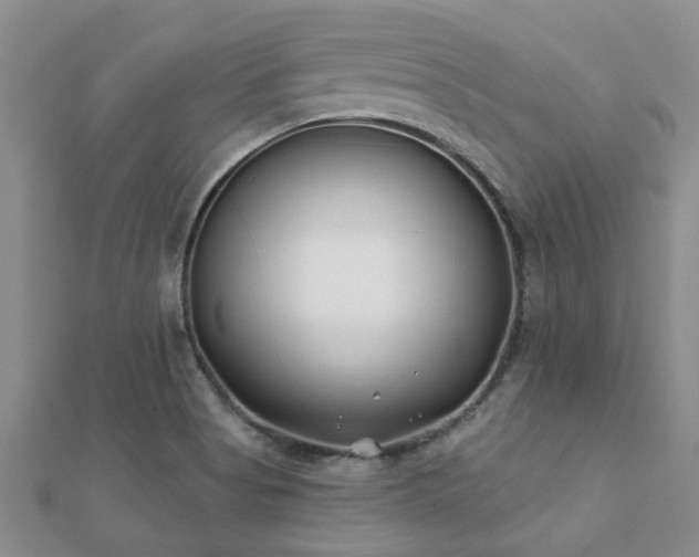 X0000112061513200908111401