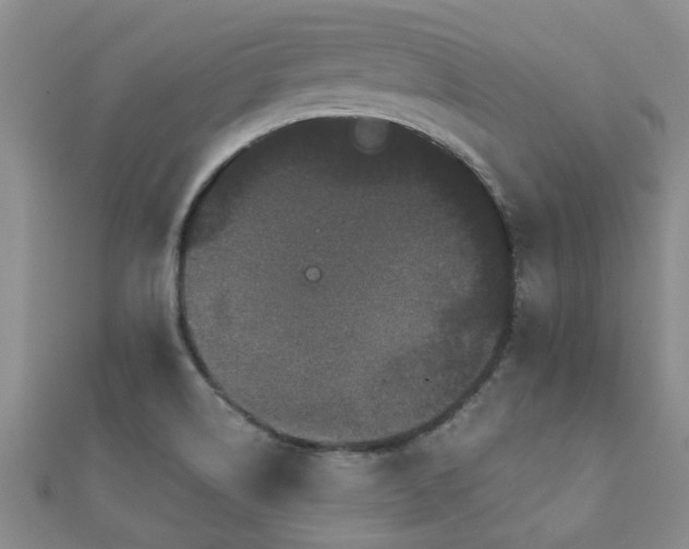 X0000112061514200908111401