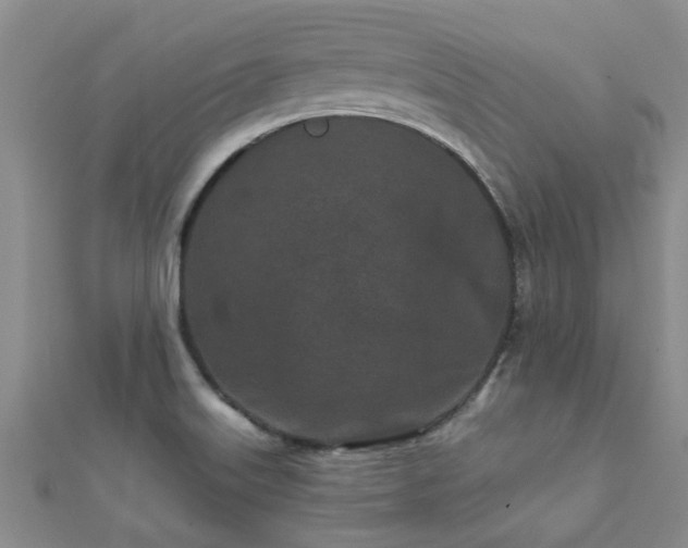 X0000112061515200908111401