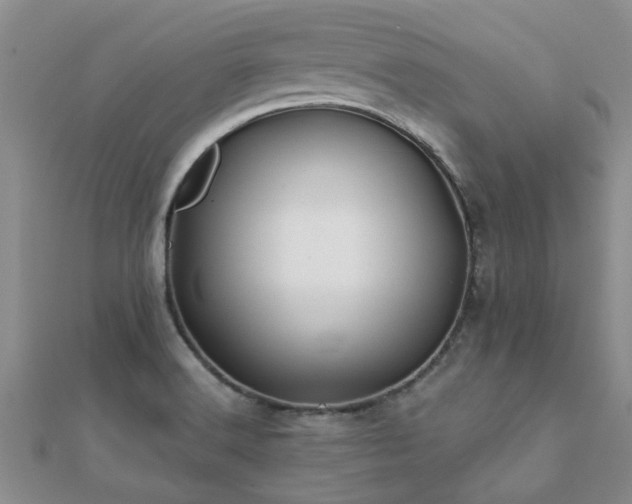 X0000112061516200908111401