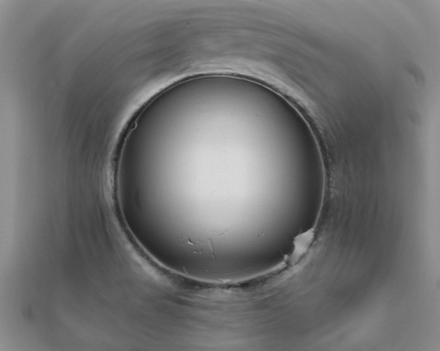 X0000112061517200908111401